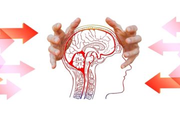 Prefrontal Cortex