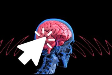 Brain Activity
