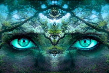 Lucid Dreaming