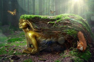 Lucid Dreaming and Hallucinatory States