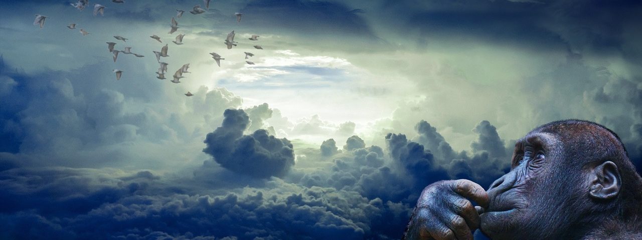 Lucid Dreaming