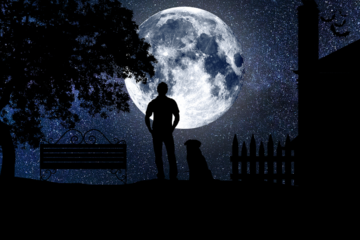 Lucid Dreaming